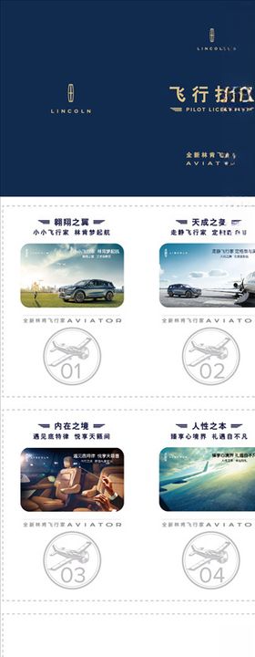 林肯飞行家执照