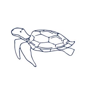 手绘海洋生物