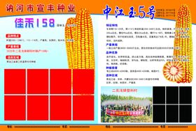 种子化肥宣传单玉米宣传单