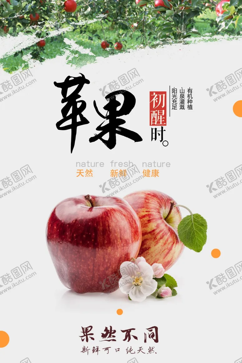 编号：79481105030756517442【酷图网】源文件下载-苹果