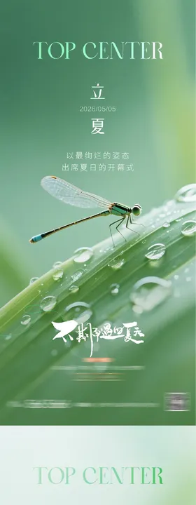 立夏质感节气海报