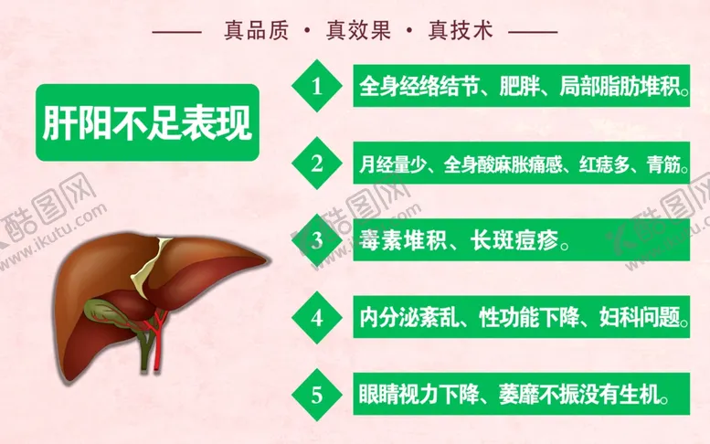 编号：13201704180006144062【酷图网】源文件下载-肝脏