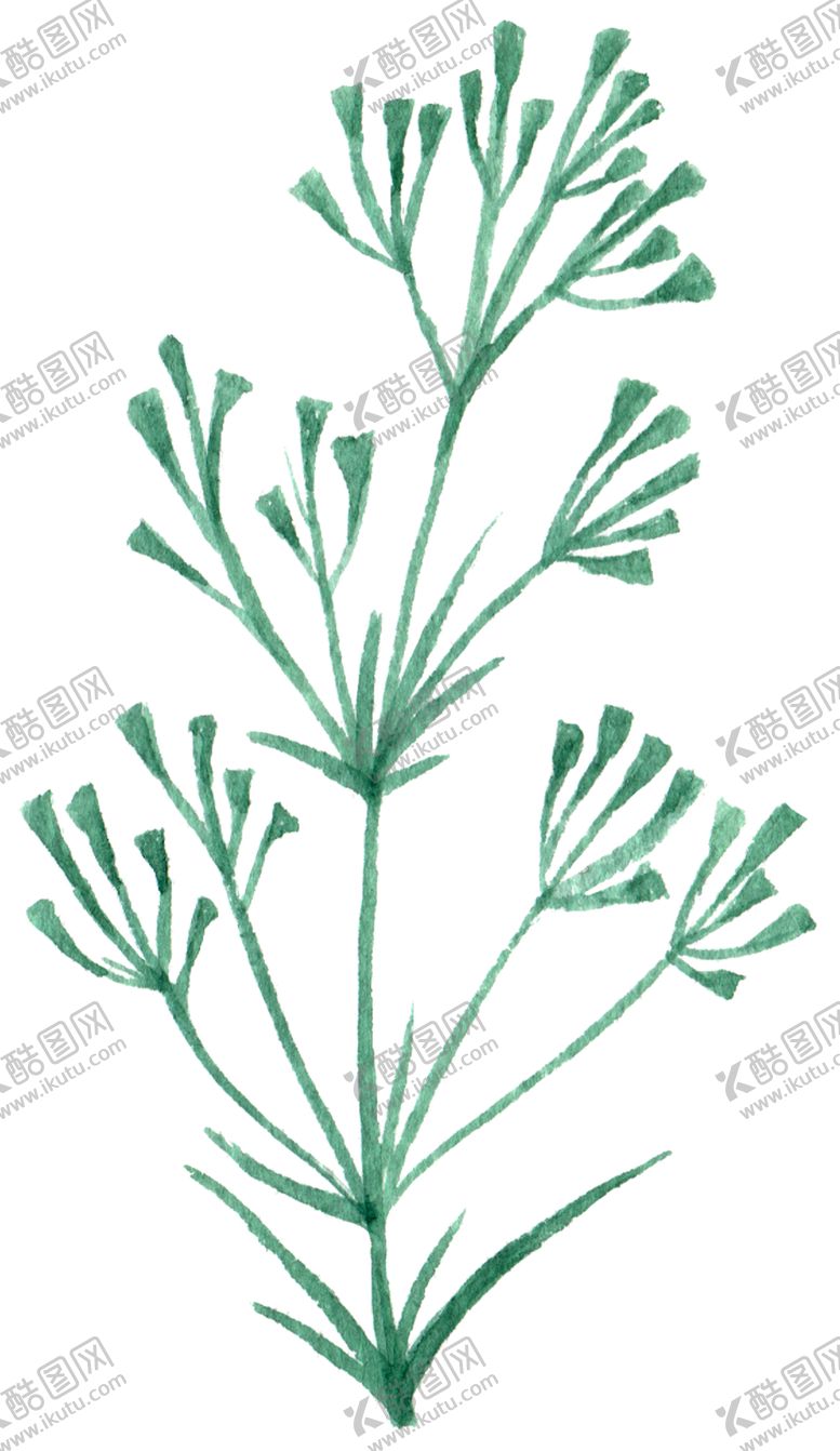 编号：36093605122016055356【酷图网】源文件下载-手绘植物