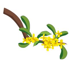 桂花八月半月饼海报素材