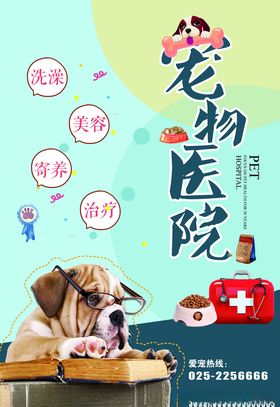 狗小狗宠物宠物医院打针