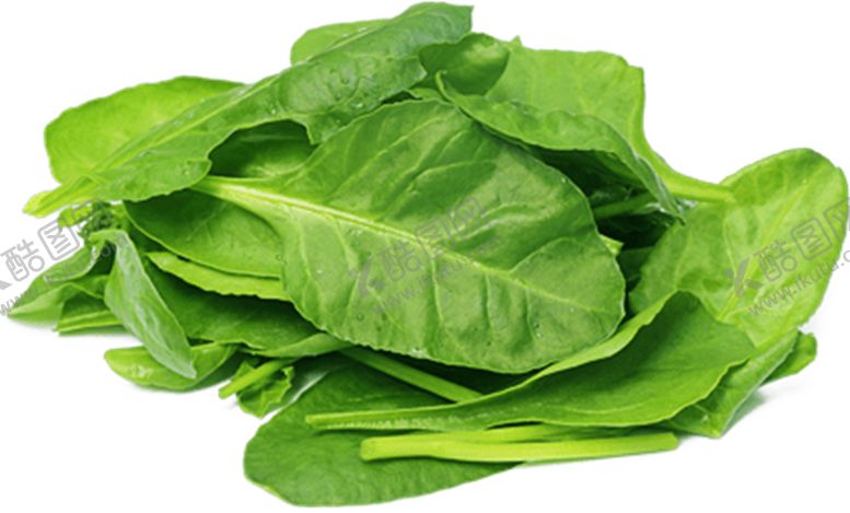 编号：26945309200257153352【酷图网】源文件下载-菠菜