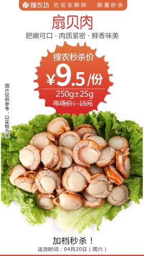 扇贝肉秒杀