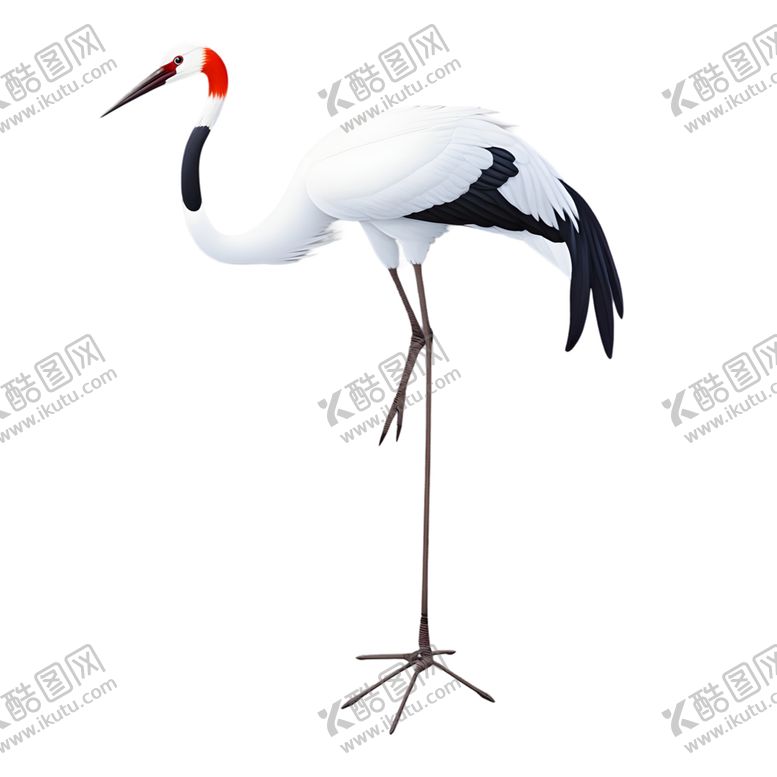 编号：92960401131144379138【酷图网】源文件下载-仙鹤