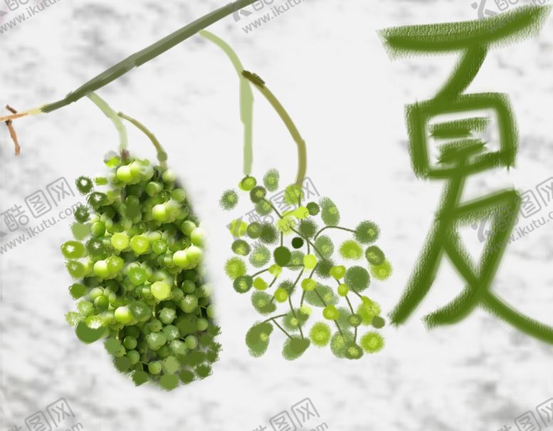 编号：67236310090129032745【酷图网】源文件下载-手绘葡萄夏