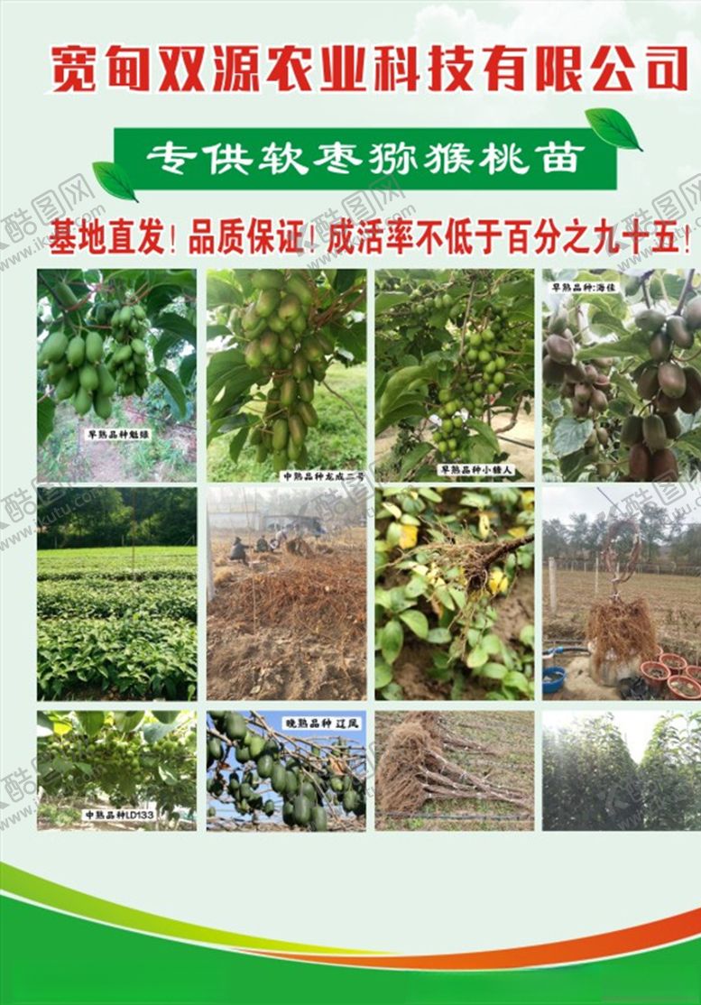 编号：26581809162121197244【酷图网】源文件下载-宣传彩页