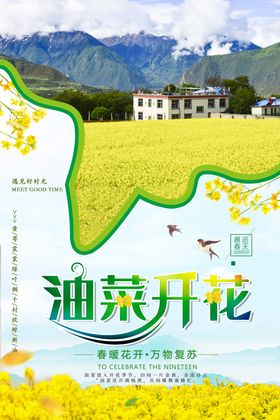 简约油菜花宣传海报