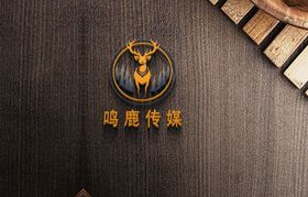 LOGO效果图样机图片