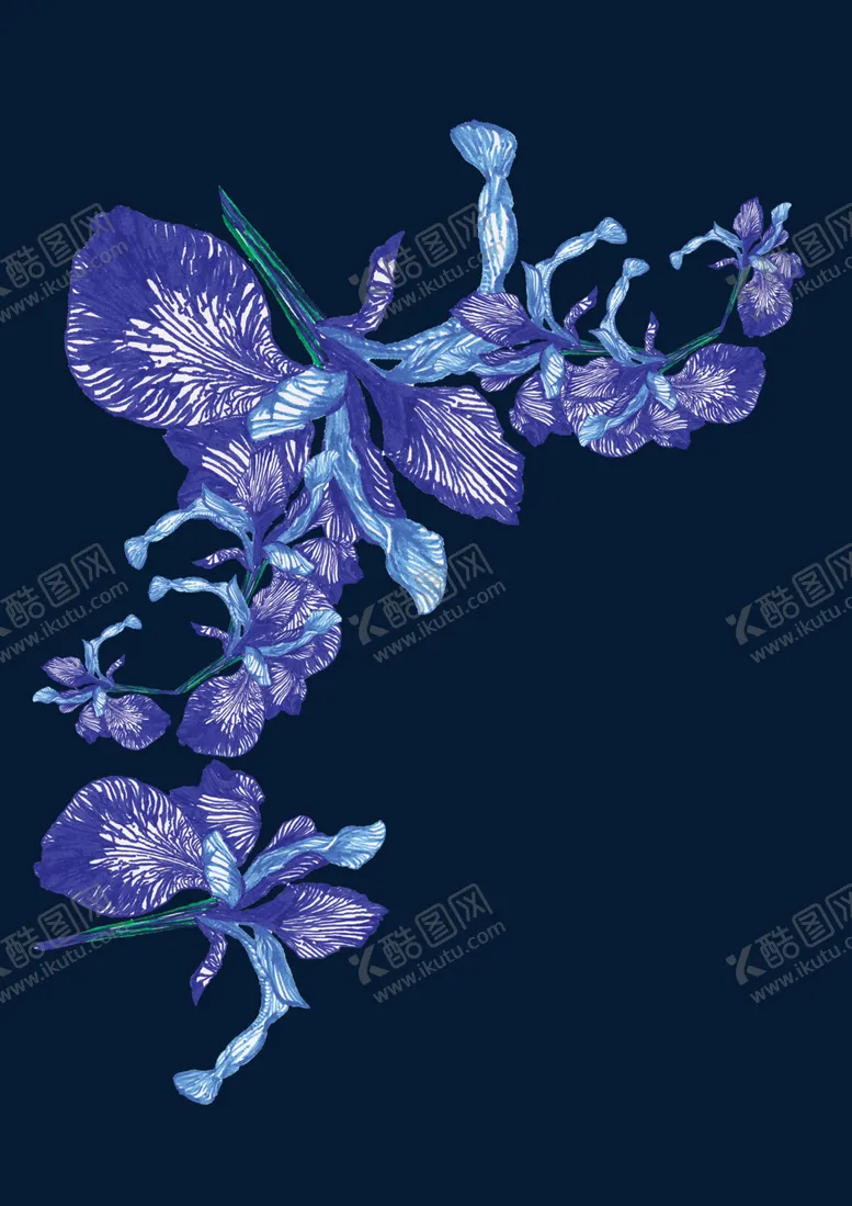 编号：42110312071225072329【酷图网】源文件下载-紫色花