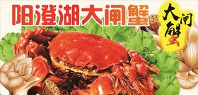 阳澄湖大闸蟹