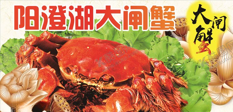 编号：20857407011047279494【酷图网】源文件下载-阳澄湖大闸蟹