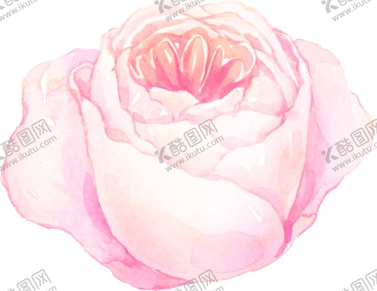 编号：18899807030329267818【酷图网】源文件下载-水彩手绘花卉花朵植物