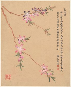 工笔画背景中国风图层花鸟