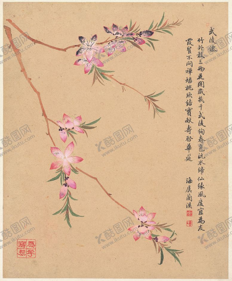 编号：62786207070439416801【酷图网】源文件下载-中国风花鸟工笔画