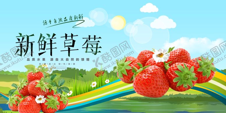 编号：83091810150953496063【酷图网】源文件下载-草莓