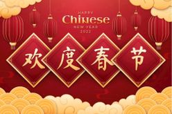 扁平中国新年春联插图