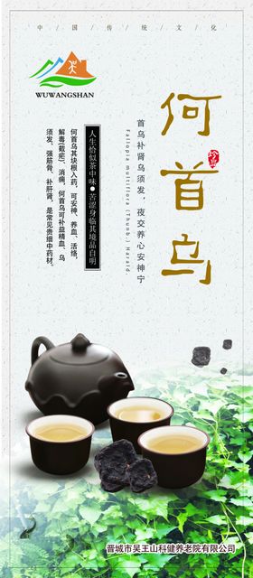何首乌中药版面