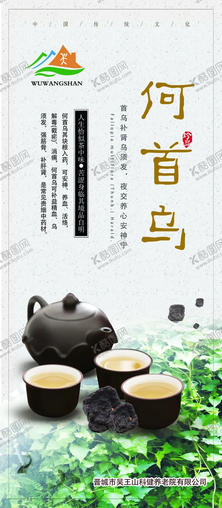 编号：75473705102248571115【酷图网】源文件下载-何首乌中药版面
