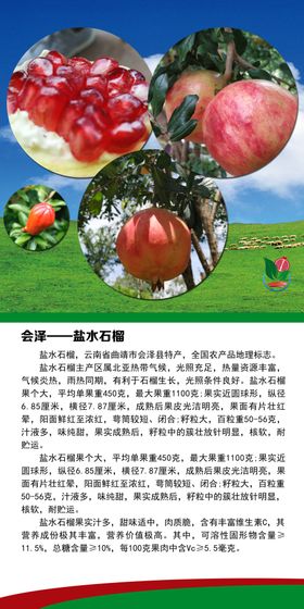会泽古城建筑