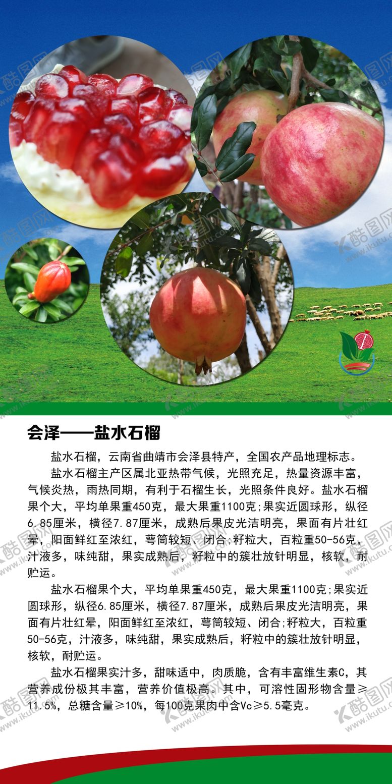 编号：17581610162332481355【酷图网】源文件下载-石榴会泽旅游会泽风光