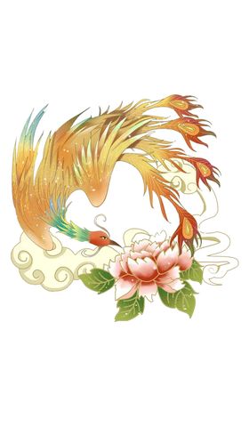 中国红凤凰插画