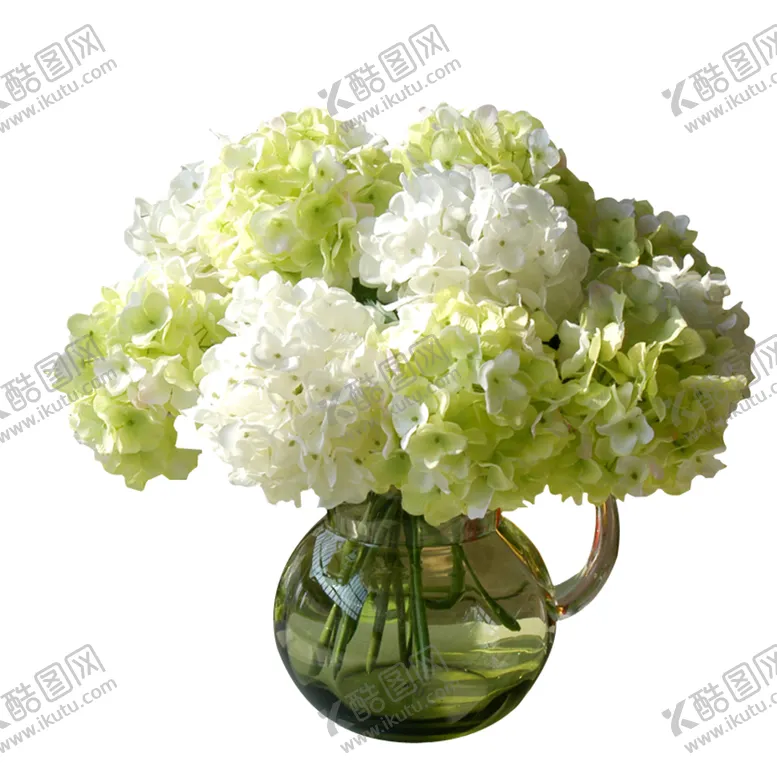 编号：72306905050400593446【酷图网】源文件下载-植物素材