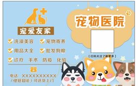 宠物医院卡片