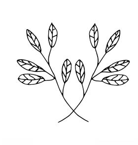 黑白简约线条植物绘画