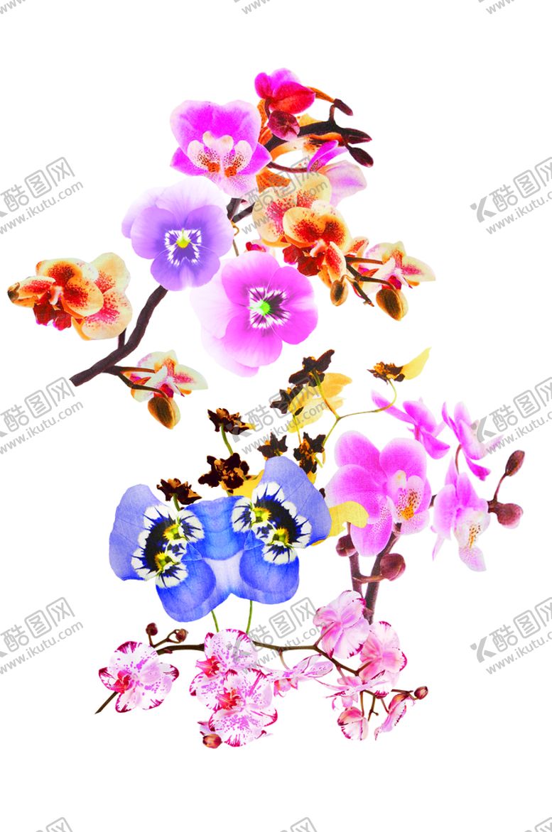 编号：72619809131903031546【酷图网】源文件下载-手绘花蝴蝶兰PSD分层素材