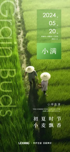 小满海报绿色田野二十四节气