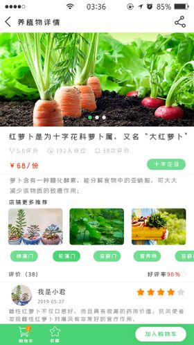 绿色扁平简约养植物app详情