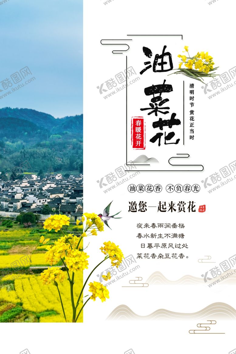 编号：65544910191938127346【酷图网】源文件下载-油菜花