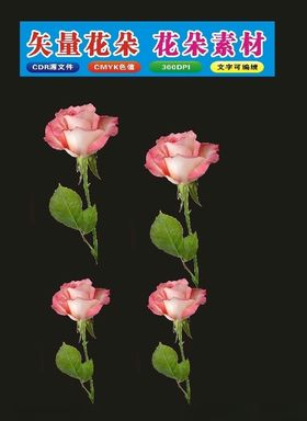 清新植物背景花朵花卉