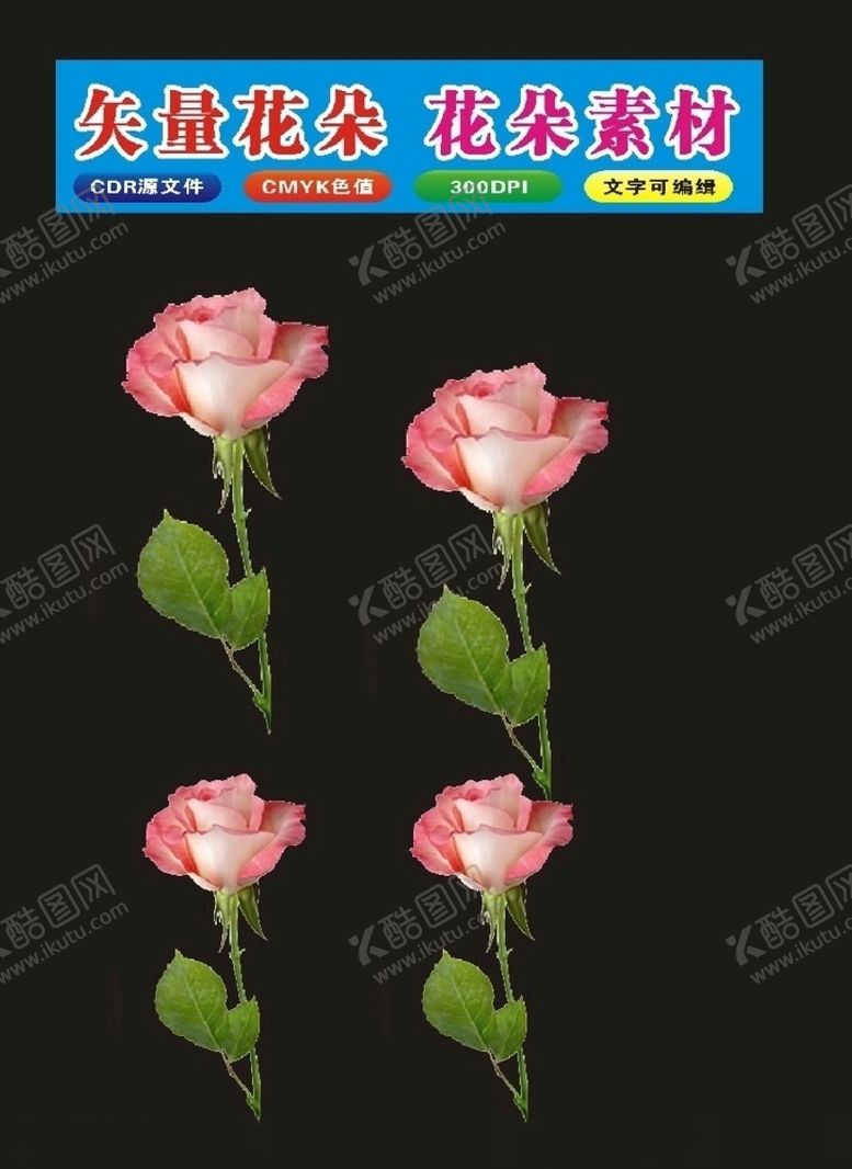 编号：82706710282048236897【酷图网】源文件下载-植物花卉花朵