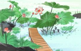 荷花插画