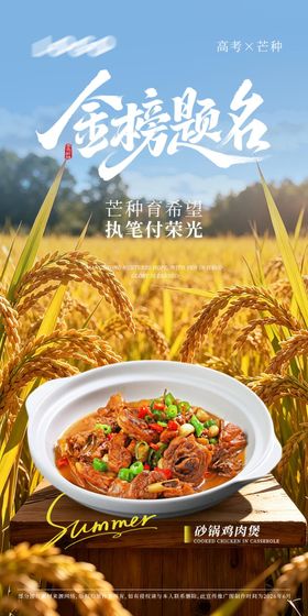 菜品高考芒种节气海报