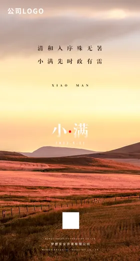 小满金黄色草原节气