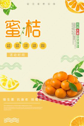 蜜桔采摘