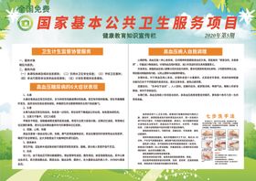 国家基本公共卫生免费服务项目