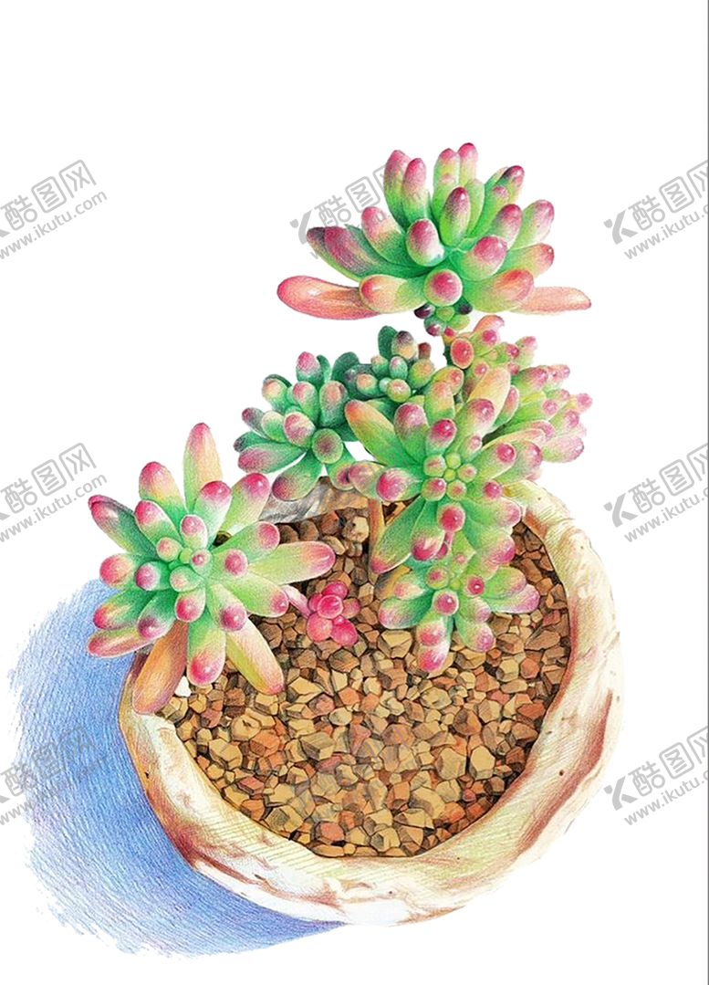 编号：62339009262120463966【酷图网】源文件下载-绿色装饰