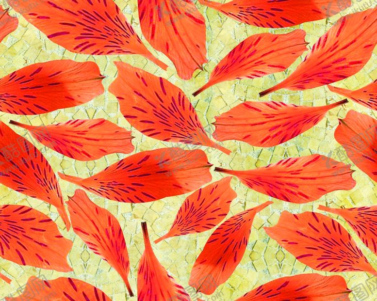 编号：20102610110203169379【酷图网】源文件下载-树叶