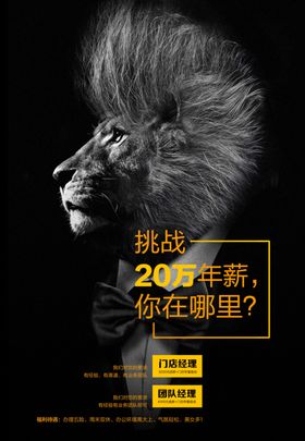 黑金狮子招聘海报