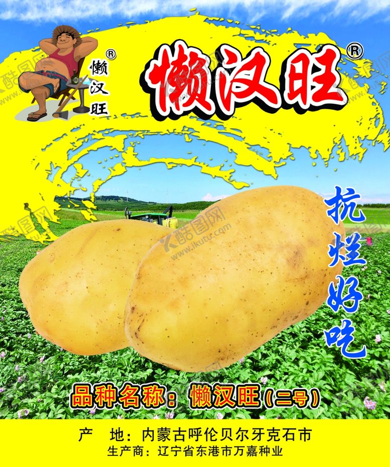 编号：95309310031327072075【酷图网】源文件下载-懒汉旺土豆马铃薯抗烂好吃