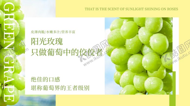 编号：28280902271042492217【酷图网】源文件下载-阳光玫瑰展板