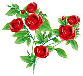 玫瑰花卡通拾