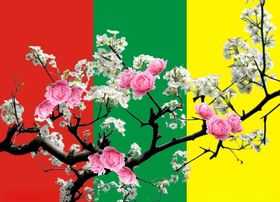 花海棠粉